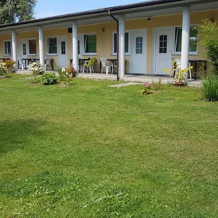 Pomerania U Oliwii